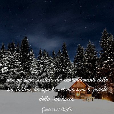 Picture 03 - Giobbe 23:12 RIV - non mi sono scostato dai comandamenti delle sue - Bible Verse Picture