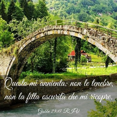 Picture 03 - Giobbe 23:17 RIV - Questo mi annienta: non le tenebre, non la fitta - Bible Verse Picture