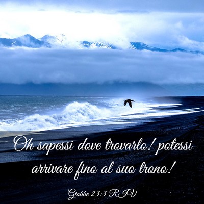 Picture 03 - Giobbe 23:3 RIV - Oh sapessi dove trovarlo! potessi arrivare fino - Bible Verse Picture