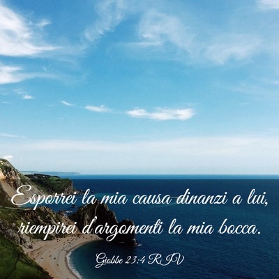 Picture 03 - Giobbe 23:4 RIV - Esporrei la mia causa dinanzi a lui, riempirei - Bible Verse Picture