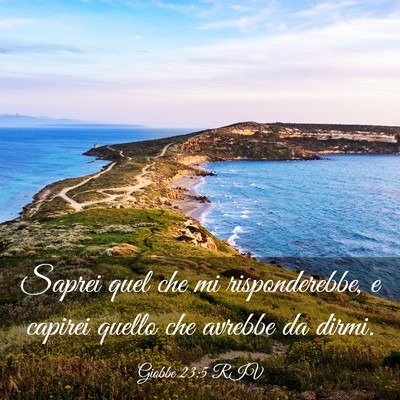 Picture 03 - Giobbe 23:5 RIV - Saprei quel che mi risponderebbe, e capirei - Bible Verse Picture