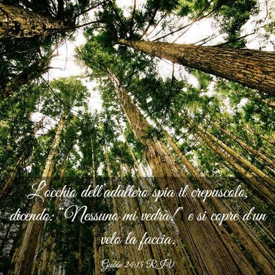 Picture 03 - Giobbe 24:15 RIV - L’occhio dell’adultero spia il crepuscolo, - Bible Verse Picture