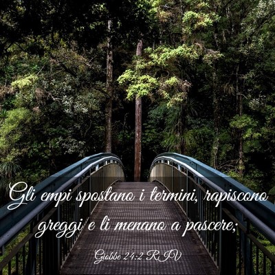Picture 03 - Giobbe 24:2 RIV - Gli empi spostano i termini, rapiscono greggi e - Bible Verse Picture