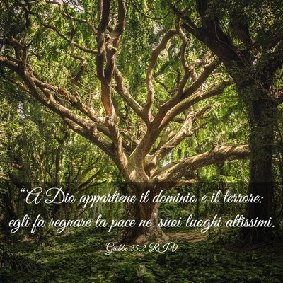 Picture 03 - Giobbe 25:2 RIV - “A Dio appartiene il dominio e il terrore: egli - Bible Verse Picture