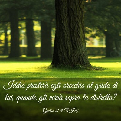 Picture 03 - Giobbe 27:9 RIV - Iddio presterà egli orecchio al grido di lui, - Bible Verse Picture