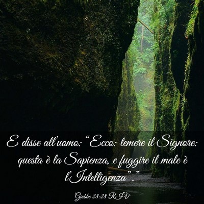 Picture 03 - Giobbe 28:28 RIV - E disse all’uomo: “Ecco: temere il Signore: - Bible Verse Picture