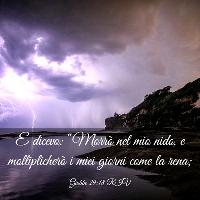 Picture 03 - Giobbe 29:18 RIV - E dicevo: “Morrò nel mio nido, e - Bible Verse Picture