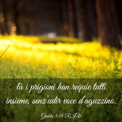 Picture 03 - Giobbe 3:18 RIV - là i prigioni han requie tutti insieme, - Bible Verse Picture