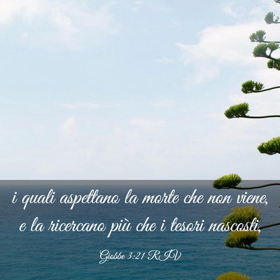 Picture 03 - Giobbe 3:21 RIV - i quali aspettano la morte che non viene, e la - Bible Verse Picture