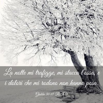Picture 03 - Giobbe 30:17 RIV - La notte mi trafigge, mi stacca l’ossa, e i - Bible Verse Picture