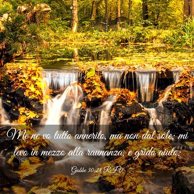 Picture 03 - Giobbe 30:28 RIV - Me ne vo tutto annerito, ma non dal sole; mi levo - Bible Verse Picture