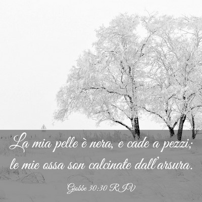 Picture 03 - Giobbe 30:30 RIV - La mia pelle è nera, e cade a pezzi; le mie ossa - Bible Verse Picture
