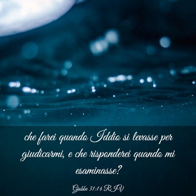 Picture 03 - Giobbe 31:14 RIV - che farei quando Iddio si levasse per giudicarmi, - Bible Verse Picture