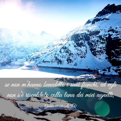 Picture 03 - Giobbe 31:20 RIV - se non m’hanno benedetto i suoi fianchi, ed - Bible Verse Picture