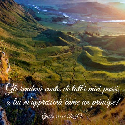 Picture 03 - Giobbe 31:37 RIV - Gli renderò conto di tutt’i miei passi, a lui - Bible Verse Picture