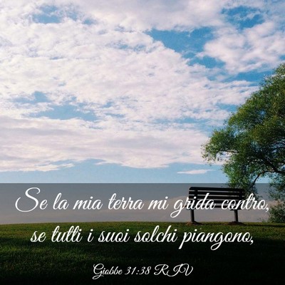 Picture 03 - Giobbe 31:38 RIV - Se la mia terra mi grida contro, se tutti i suoi - Bible Verse Picture