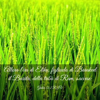 Picture 03 - Giobbe 32:2 RIV - Allora l’ira di Elihu, figliuolo di Barakeel il - Bible Verse Picture