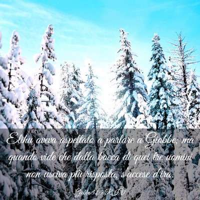 Picture 03 - Giobbe 32:5 RIV - Elihu aveva aspettato a parlare a Giobbe; ma - Bible Verse Picture