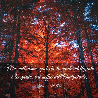 Picture 03 - Giobbe 32:8 RIV - Ma, nell’uomo, quel che lo rende intelligente - Bible Verse Picture