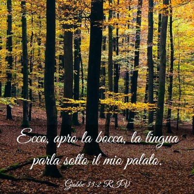 Picture 03 - Giobbe 33:2 RIV - Ecco, apro la bocca, la lingua parla sotto il mio - Bible Verse Picture