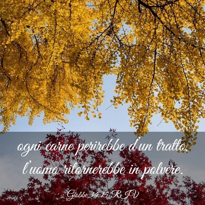 Picture 03 - Giobbe 34:15 RIV - ogni carne perirebbe d’un tratto, l’uomo - Bible Verse Picture