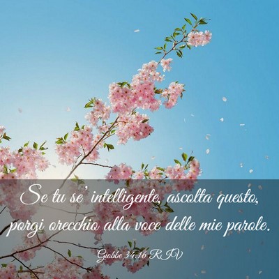 Picture 03 - Giobbe 34:16 RIV - Se tu se’ intelligente, ascolta questo, porgi - Bible Verse Picture