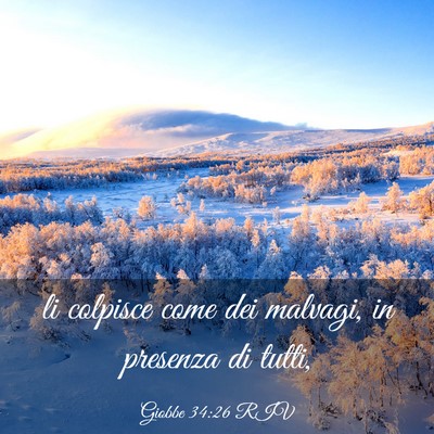 Picture 03 - Giobbe 34:26 RIV - li colpisce come dei malvagi, in presenza di - Bible Verse Picture
