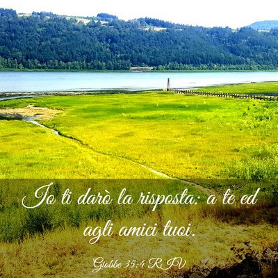 Picture 03 - Giobbe 35:4 RIV - Io ti darò la risposta: a te ed agli amici - Bible Verse Picture
