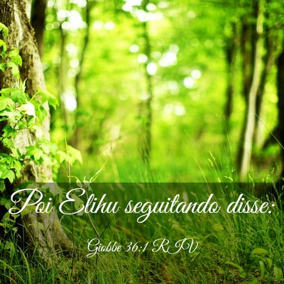 Picture 03 - Giobbe 36:1 RIV - Poi Elihu seguitando - Bible Verse Picture