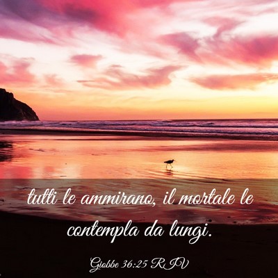 Picture 03 - Giobbe 36:25 RIV - tutti le ammirano, il mortale le contempla da - Bible Verse Picture