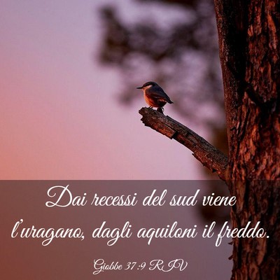 Picture 03 - Giobbe 37:9 RIV - Dai recessi del sud viene l’uragano, dagli - Bible Verse Picture