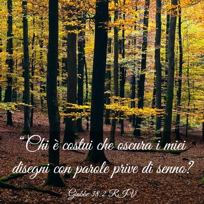 Picture 03 - Giobbe 38:2 RIV - “Chi è costui che oscura i miei disegni con - Bible Verse Picture