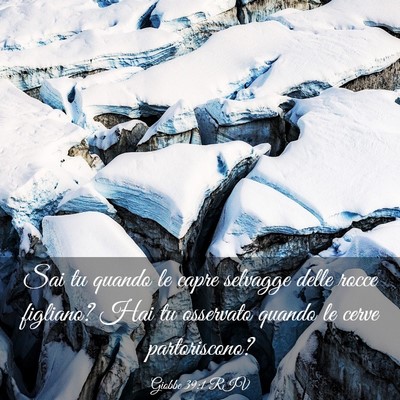 Picture 03 - Giobbe 39:1 RIV - Sai tu quando le capre selvagge delle rocce - Bible Verse Picture