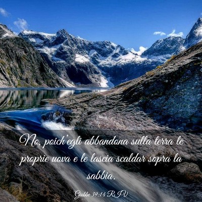 Picture 03 - Giobbe 39:14 RIV - No, poich’egli abbandona sulla terra le proprie - Bible Verse Picture