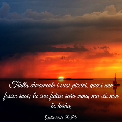 Picture 03 - Giobbe 39:16 RIV - Tratta duramente i suoi piccini, quasi non fosser - Bible Verse Picture