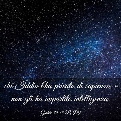 Picture 03 - Giobbe 39:17 RIV - ché Iddio l’ha privato di sapienza, e non gli - Bible Verse Picture