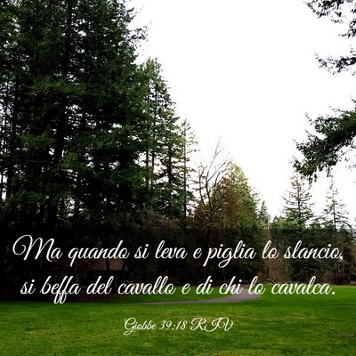 Picture 03 - Giobbe 39:18 RIV - Ma quando si leva e piglia lo slancio, si beffa - Bible Verse Picture