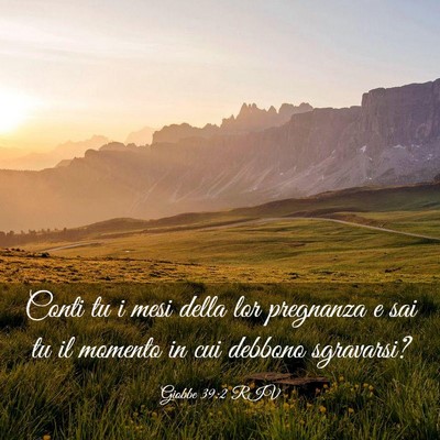 Picture 03 - Giobbe 39:2 RIV - Conti tu i mesi della lor pregnanza e sai tu il - Bible Verse Picture