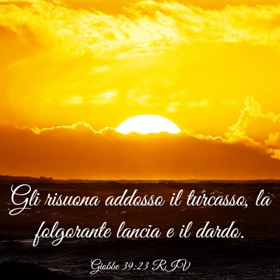 Picture 03 - Giobbe 39:23 RIV - Gli risuona addosso il turcasso, la folgorante - Bible Verse Picture