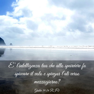 Picture 03 - Giobbe 39:26 RIV - E’ l’intelligenza tua che allo sparviere fa - Bible Verse Picture