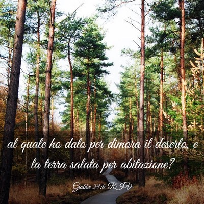 Picture 03 - Giobbe 39:6 RIV - al quale ho dato per dimora il deserto, e la - Bible Verse Picture