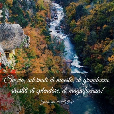 Picture 03 - Giobbe 40:10 RIV - Su via, adornati di maestà, di grandezza, - Bible Verse Picture