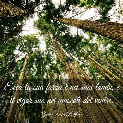 Picture 03 - Giobbe 40:16 RIV - Ecco la sua forza è nei suoi lombi, e il vigor - Bible Verse Picture