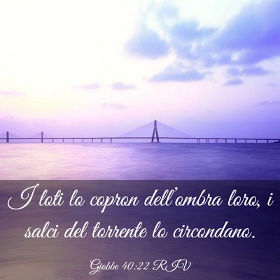 Picture 03 - Giobbe 40:22 RIV - I loti lo copron dell’ombra loro, i salci del - Bible Verse Picture