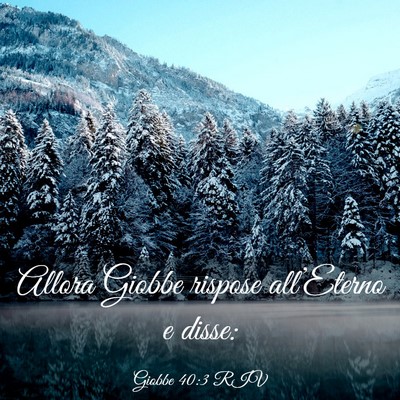Picture 03 - Giobbe 40:3 RIV - Allora Giobbe rispose all’Eterno e - Bible Verse Picture