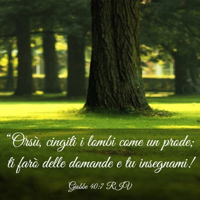 Picture 03 - Giobbe 40:7 RIV - “Orsù, cingiti i lombi come un prode; ti farò - Bible Verse Picture