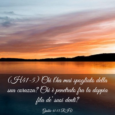 Picture 03 - Giobbe 41:13 RIV - (H41-5) Chi l’ha mai spogliato della sua - Bible Verse Picture