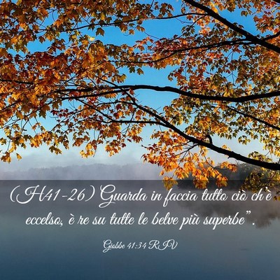 Picture 03 - Giobbe 41:34 RIV - (H41-26) Guarda in faccia tutto ciò ch’è - Bible Verse Picture