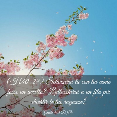 Picture 03 - Giobbe 41:5 RIV - (H40-29) Scherzerai tu con lui come fosse un - Bible Verse Picture