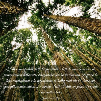 Picture 03 - Giobbe 42:11 RIV - Tutti i suoi fratelli, tutte le sue sorelle e - Bible Verse Picture